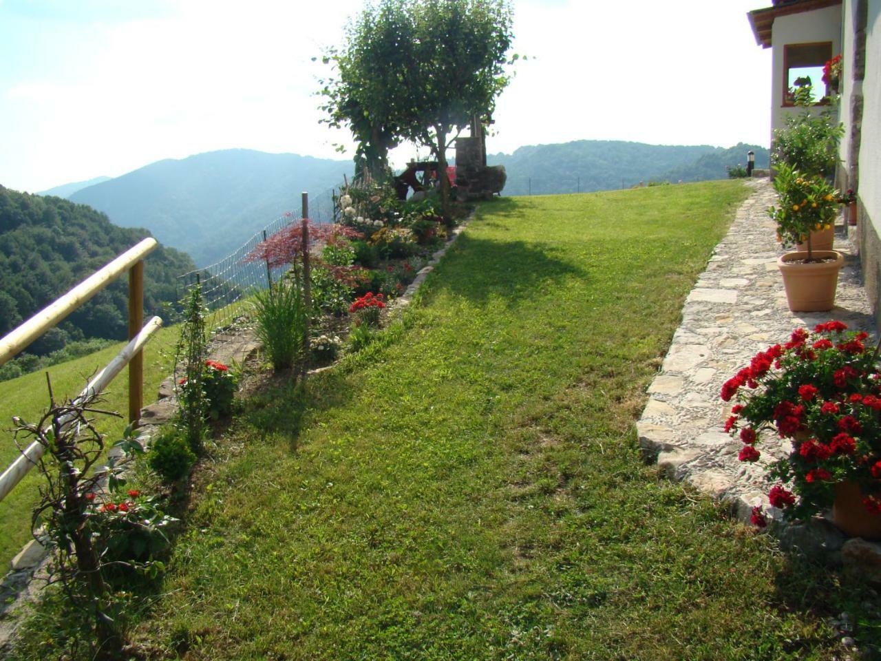 Apartmaji Nena Rocinj Buitenkant foto