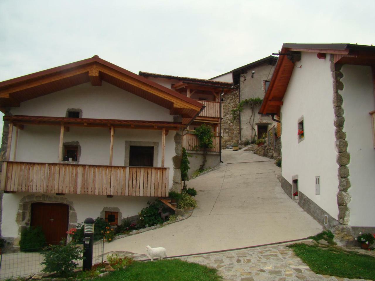 Apartmaji Nena Rocinj Buitenkant foto