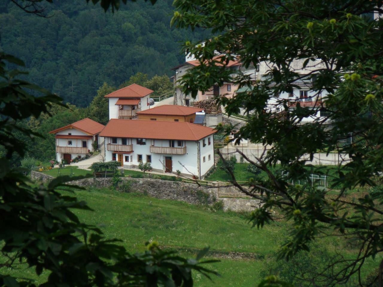 Apartmaji Nena Rocinj Buitenkant foto