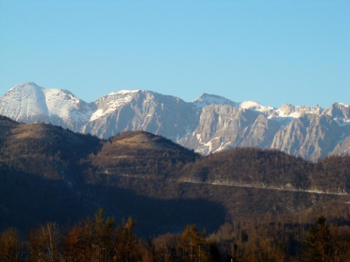 Apartmaji Nena Rocinj Buitenkant foto